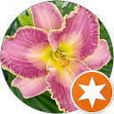 Jessica Barker profile picture